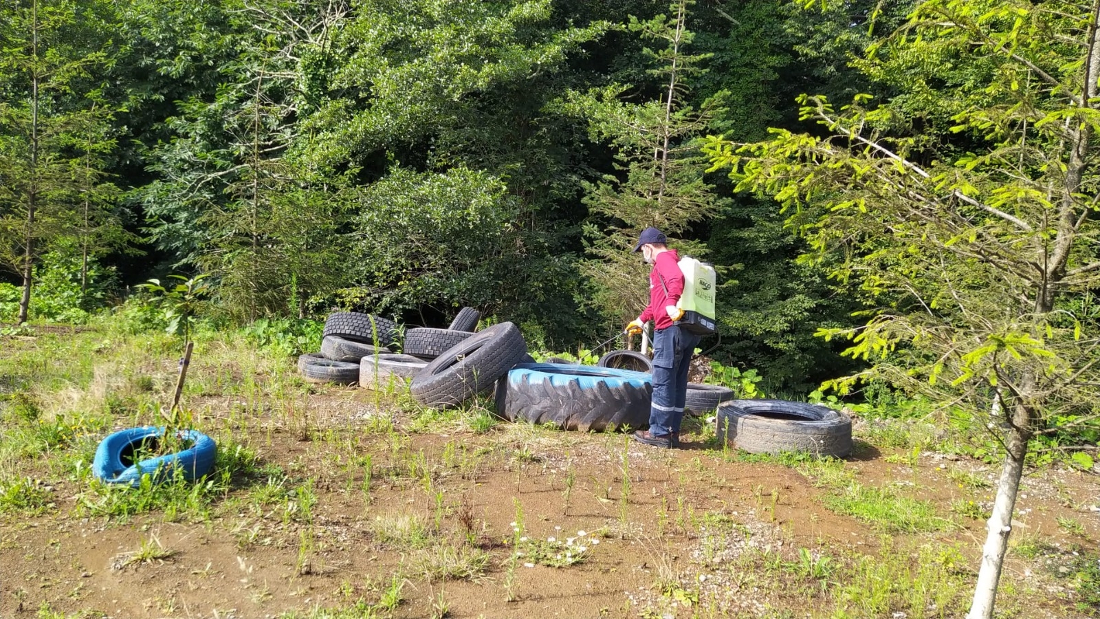 VEKTÖRLE MÜCADELEDE VATANDAŞLARA DA BÜYÜK PAY DÜŞÜYOR